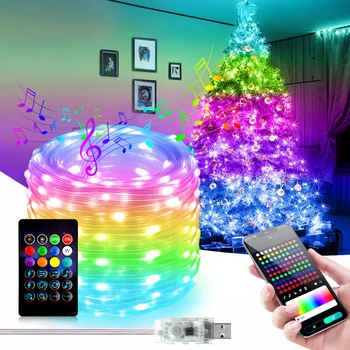 RGBIC Dream Color LED String Fairy Lights 5V WS2812B Bluetooth Smart Рождественская Гирлянда Light Водонепроницаемый IP67 для Вечернего Зала